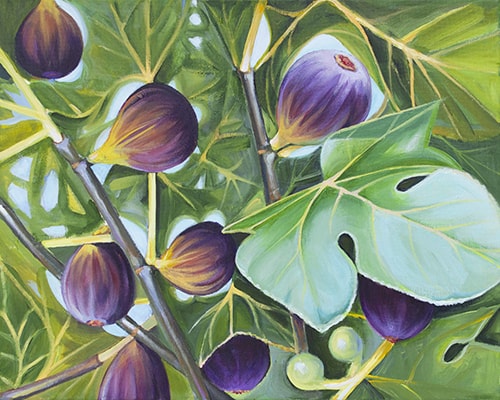 Painting of figs on the tree by Steve Mairella