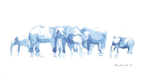 A herd of elephants at a waterhole, painted from life directly in blue watercolor by Alison Nicholls