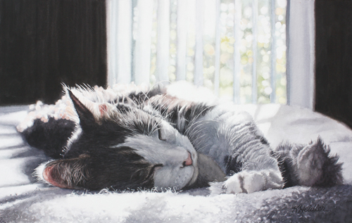 Watercolor pet portrait of a napping cat by Karen Heidler