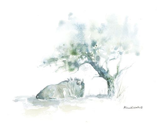 Wildebeest lying under a tree, sketched from life and painted in watercolor by Alison Nicholls.