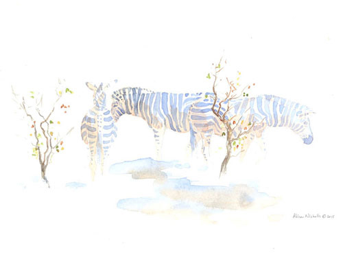 A small herd of zebra stand in mopane bush, sketched from life and painted by Alison Nicholls