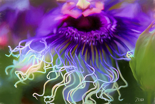 Abstract digital photography image of tropical flowers by Cindy Greenstein