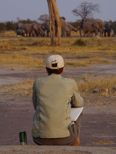 Artist Alison Nicholls takes a break from sketching elephants in Botswana