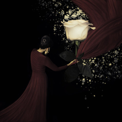 Figurative digital photograph of a woman and a large rose by A.E. Richardson