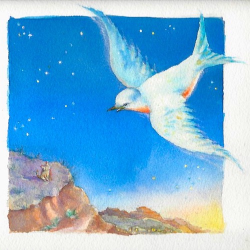 Bluebird illustration for a children's book