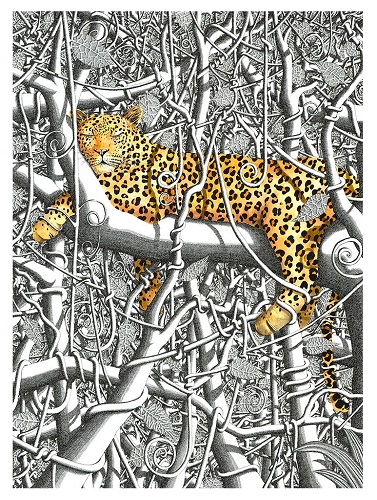 Watercolor of a leopard in a white tree in the Kikuyu Forest by Marcus Goldson