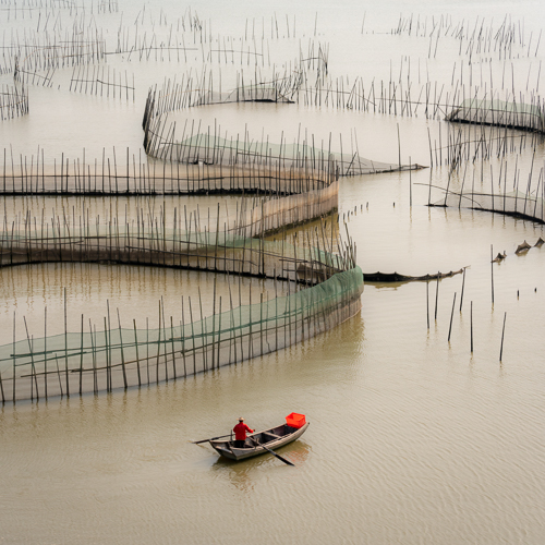 Digital photograph of a boat traveling through fenced areas in the water by Hilda Champion