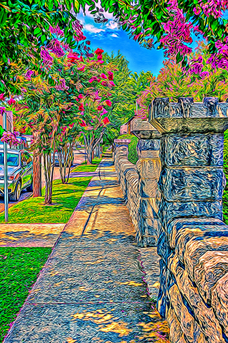 Digital photograph of a sidewalk in spring by Luis Almeida