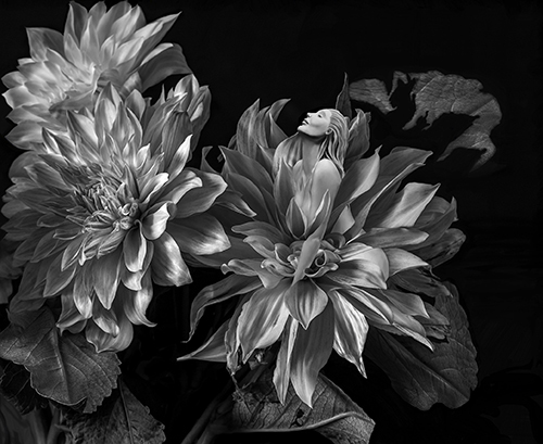 Black and White photograph of a sculpture of a female nude and flowers by Bonnie Kamhi