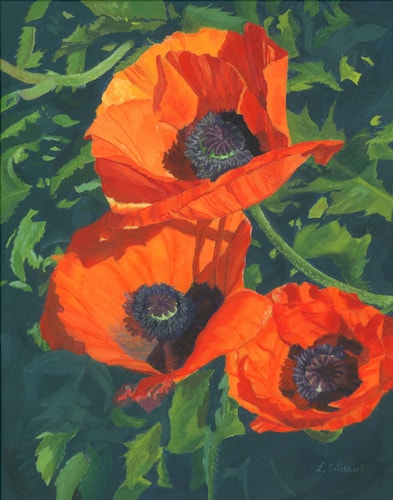 Painting of three red poppies by Lynne Reichhart