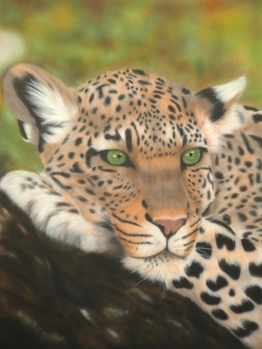 Ink airbrush of a leopard by Sharen-Lee McLachlan