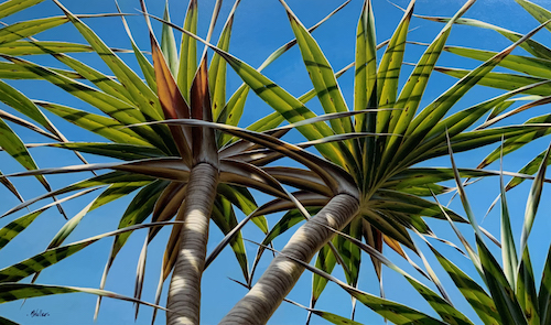 painting looking up at palm trees against the sky by Mark Waller