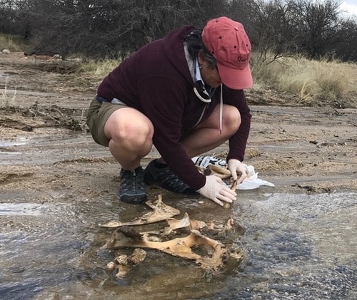 Artist Maura Freeman doing field work