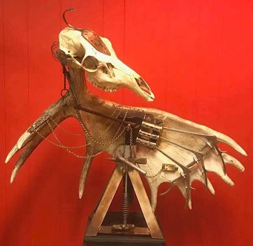 skull assemblage with a moose antler by Sue Moerder