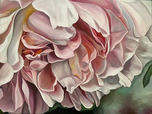 peony floral painting by Jacqueline Coates