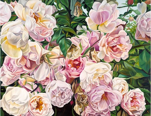 painted portrait of pink roses by Jacqueline Coates