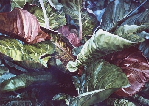 watercolor close up of leaves by Gayle Isabelle Ford