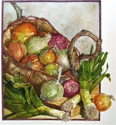 watercolor of a basket of onions by Gayle Isabelle Ford