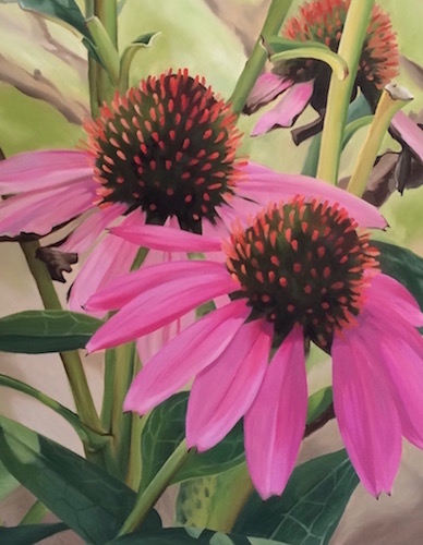 painting of purple coneflowers by Suzanne Aulds