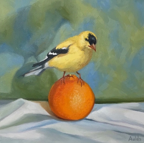 painting of a goldfinch perched on an orange by Suzanne Aulds