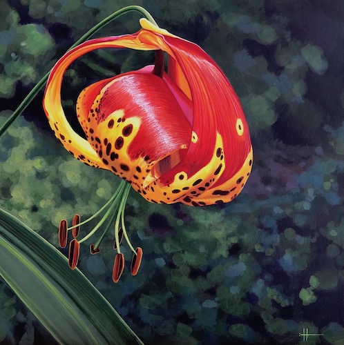 painting of a tiger lily by Hunter Jay