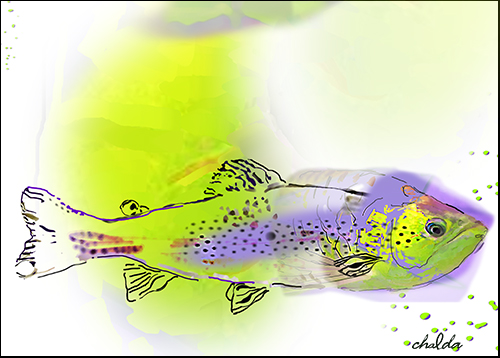 abstract digital pigment print of a yellow and purple fish by Chalda Maloff