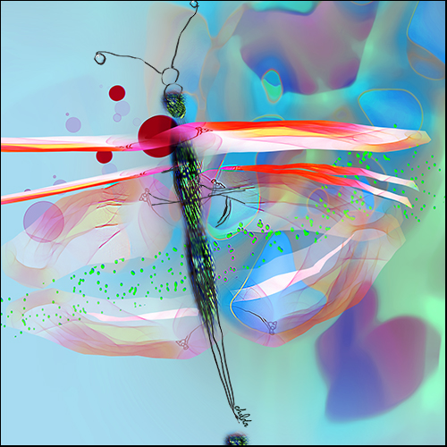 abstract digital pigment print of a dragonfly by Chalda Maloff