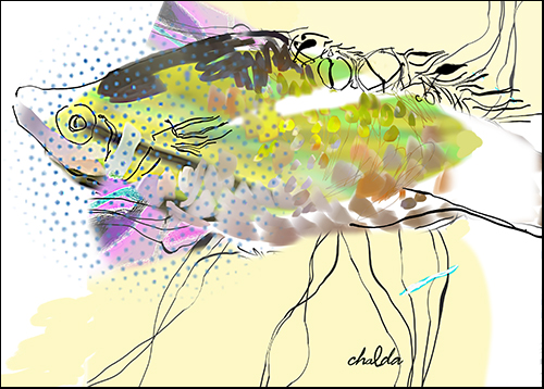 abstract digital pigment print of a yellow fish by Chalda Maloff