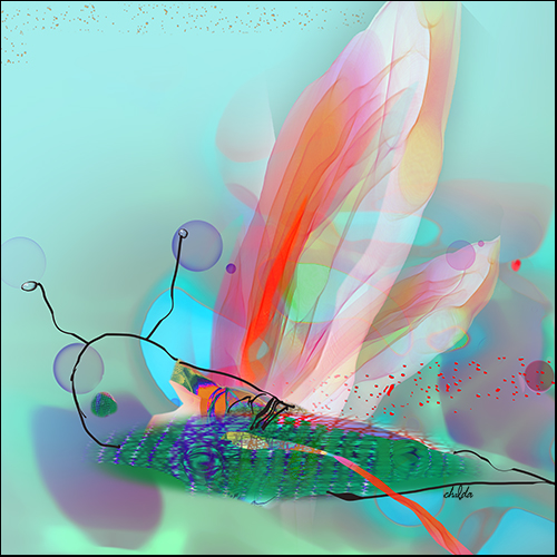 abstract digital pigment print of a winged insect by Chalda Maloff