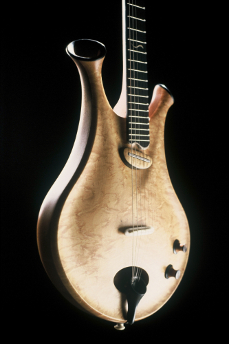 wood chambered body guitar with magnetic pickup by Thierry André