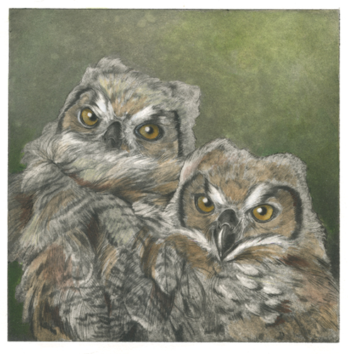 solar etching of two owls by Mindy Lighthipe