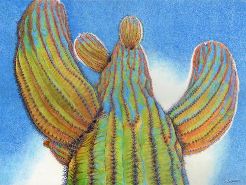 color pencil drawing of a saguaro cactus by Rhonda Dicksion
