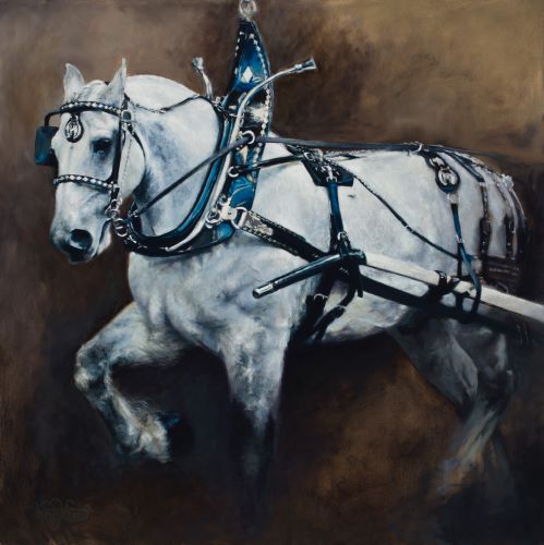 painting of a white draft horse in harness by Shandy Straub