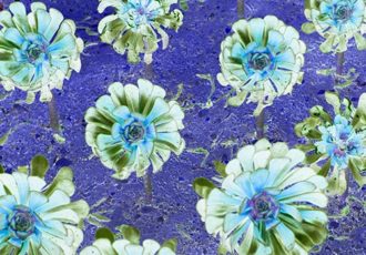 photo of close up of cactus blooms by Delphine Bordas