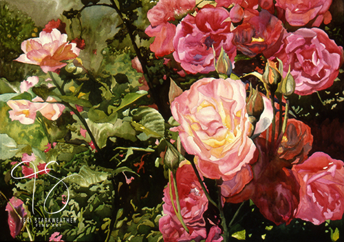 watercolor of pink roses by Teri Starkweather