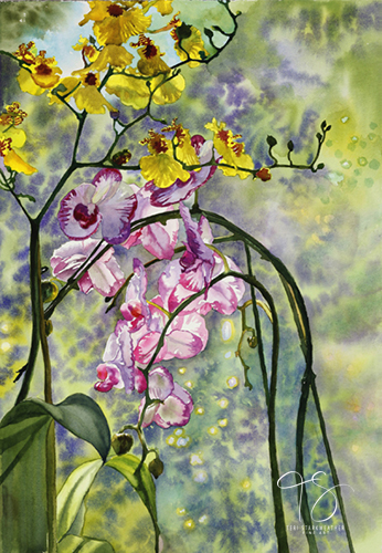 watercolor of orchids by Teri Starkweather