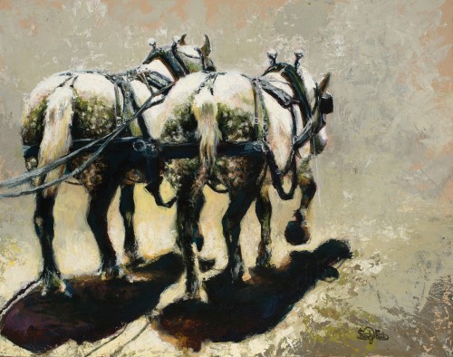 painting of a team of gray horses in harness by Shandy Staab