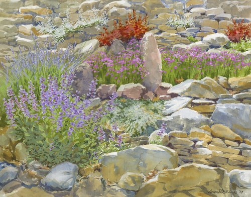 watercolor of desert plants by Deborah Edwards