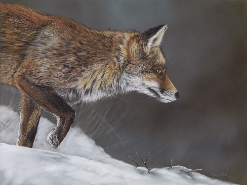 pastel of a hunting fox in winter