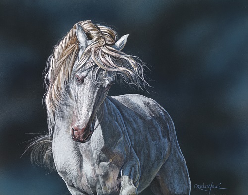 pastel of a white horse on a blue background by Lynette Orzlowski