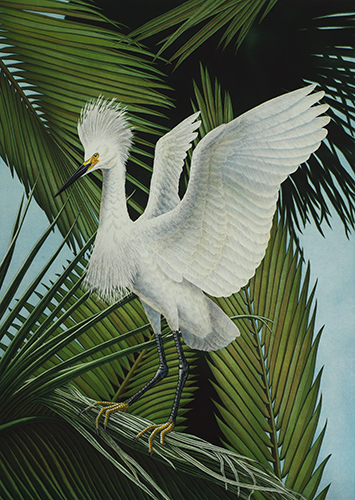 life size hand painted etching of a Snowy Egret by John Costin
