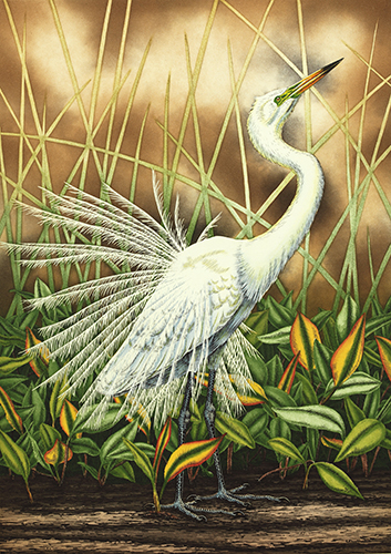 hand painted etching of a white heron displaying by John Costin