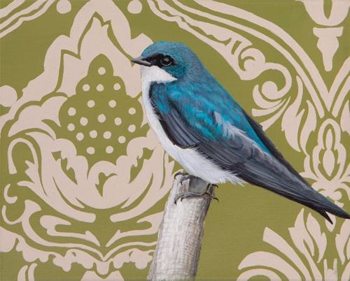 painting of a swallow by Sabra Crockett
