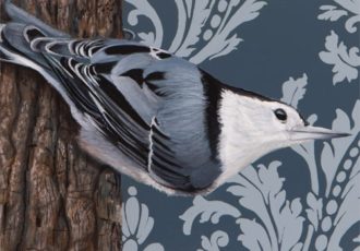 painting of a White Breasted Nuthatch by Sabra Crockett