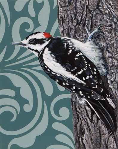 painting of a Downy Woodpecker by Sabra Crockett