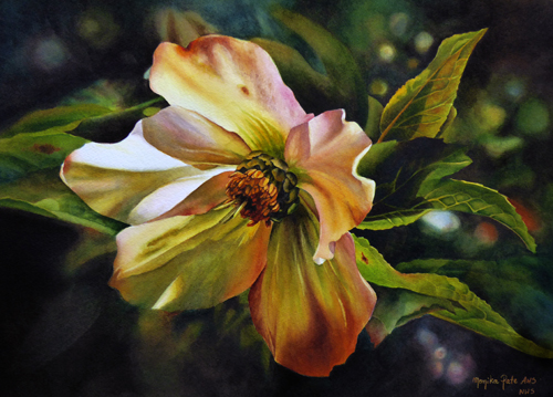 watercolor of a Hellebore flower by Monika Pate