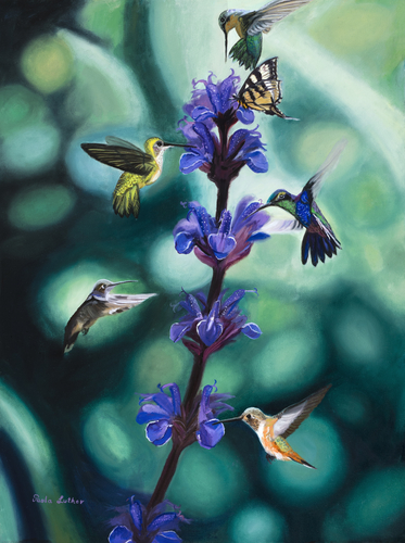 painting of hummingbirds by Paola Luther