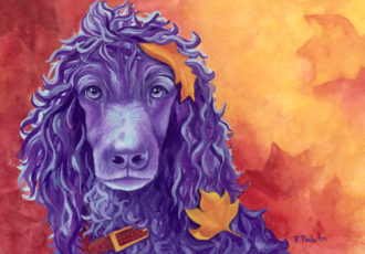 gouache poodle pet portrait by Rachel Perls