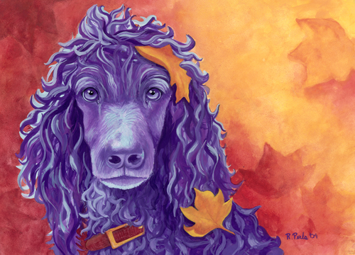 gouache poodle pet portrait by Rachel Perls