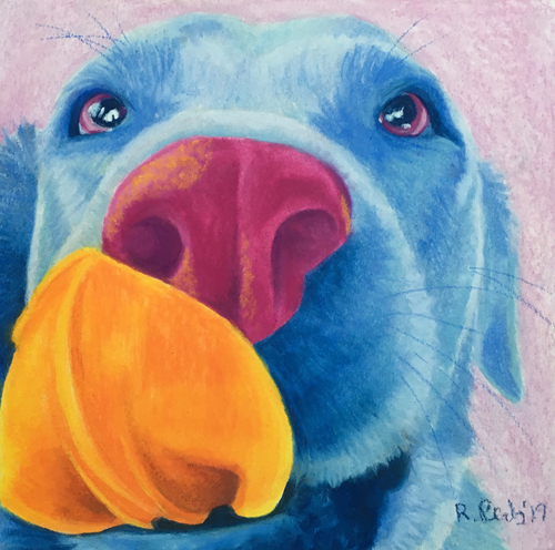pastel labrador dog portrait in blue by Rachel Perls